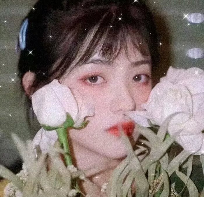 女同性恋吸血鬼
