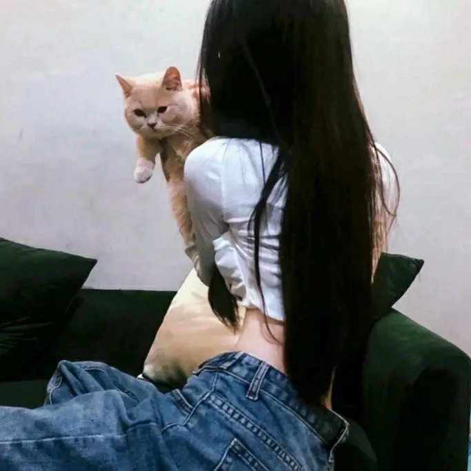 淑女思春
